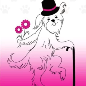 Dapper Dog Grooming in Cairo, NY